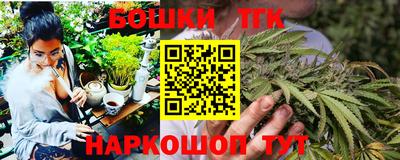 гашик Будённовск