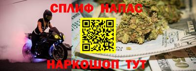гашик Будённовск