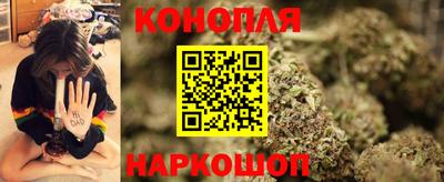 гашик Будённовск