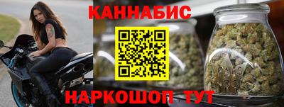 гашик Будённовск