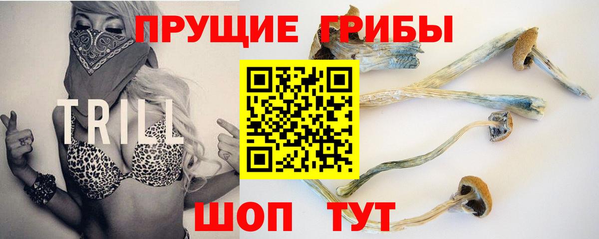 Галлюциногенные грибы мицелий Тула